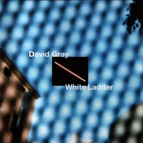 white ladder