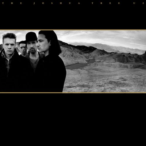 the joshua tree